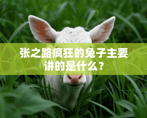 张之路疯狂的兔子主要讲的是什么？