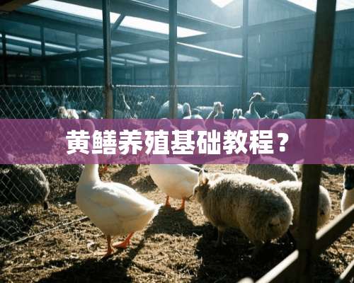 黄鳝养殖基础教程？