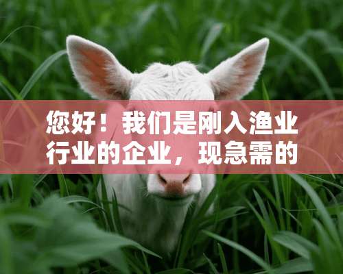 您好！我们是刚入渔业行业的企业，现急需的是渔业养殖岗位职责？