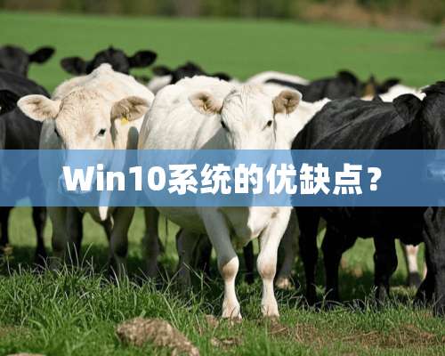 Win10系统的优缺点？