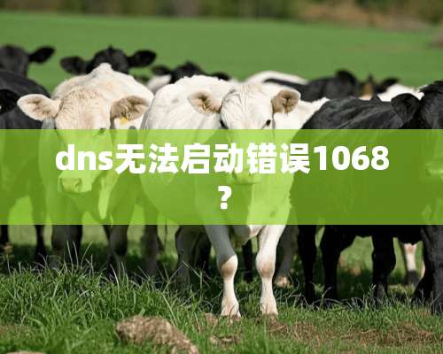 dns无法启动错误1068？