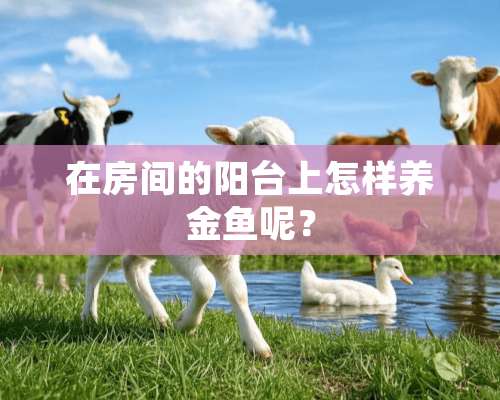 在房间的阳台上怎样养金鱼呢？