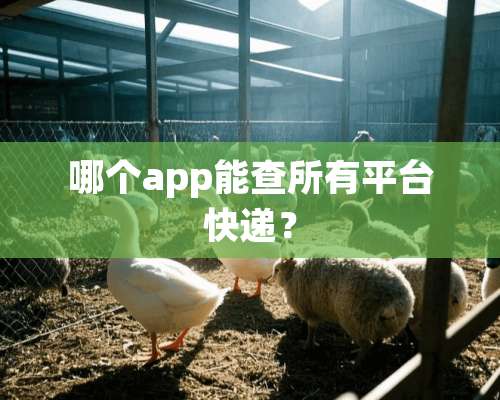 哪个app能查所有平台快递？