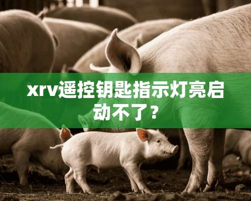 xrv遥控钥匙指示灯亮启动不了？