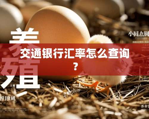 交通银行汇率怎么查询？