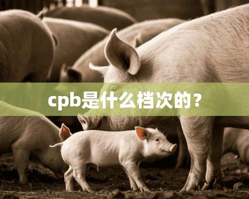 cpb是什么档次的？