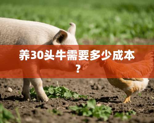 养30头牛需要多少成本？