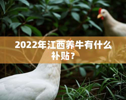 2022年江西养牛有什么补贴？