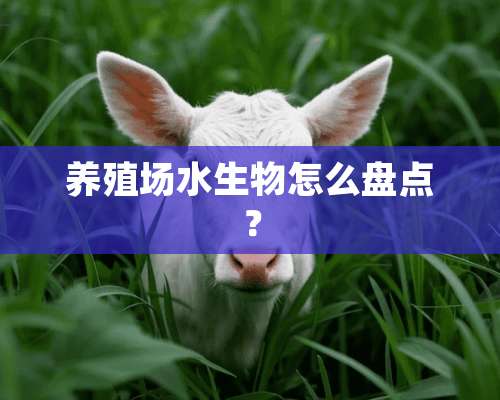 养殖场水生物怎么盘点？