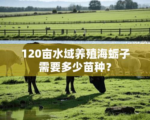 120亩水域养殖海蛎子需要多少苗种？