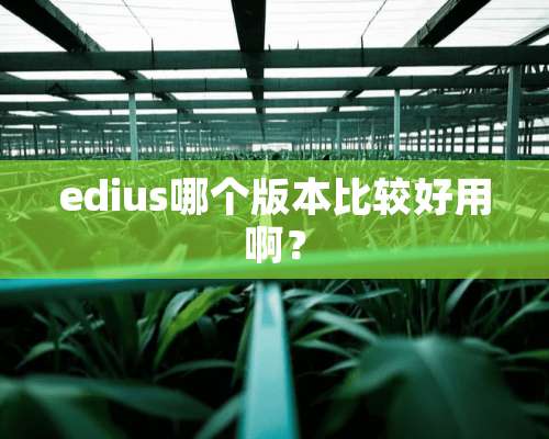 edius哪个版本比较好用啊？