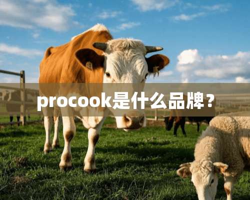 procook是什么品牌？