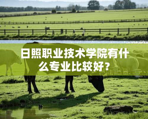 日照职业技术学院有什么专业比较好？