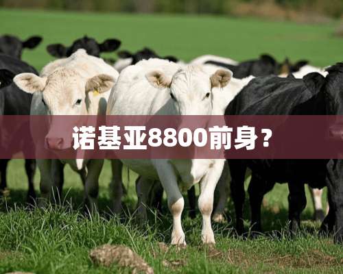 诺基亚8800前身？