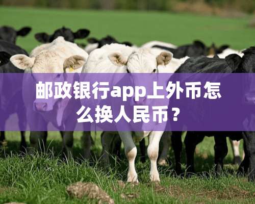 邮政银行app上外币怎么换人民币？