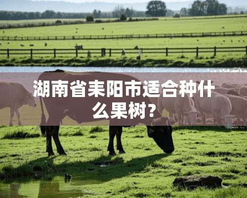 湖南省耒阳市适合种什么果树？