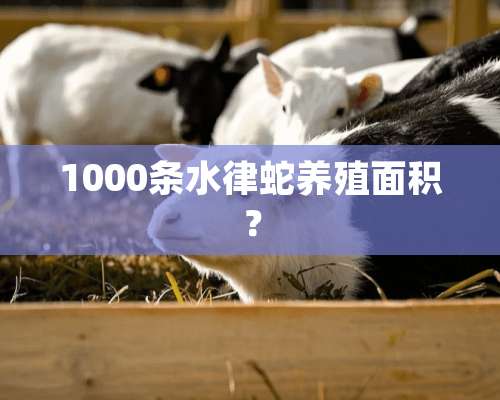 1000条水律蛇养殖面积？