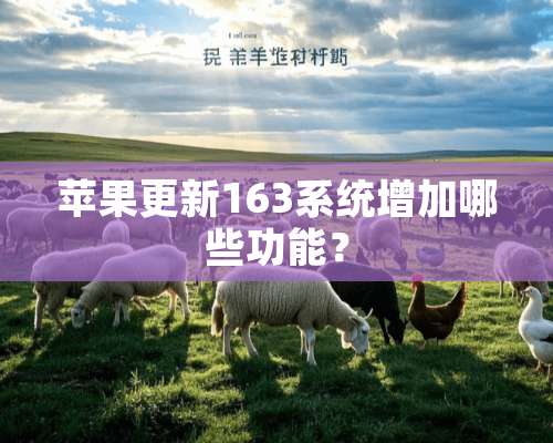 苹果更新163系统增加哪些功能？