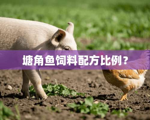 塘角鱼饲料配方比例？