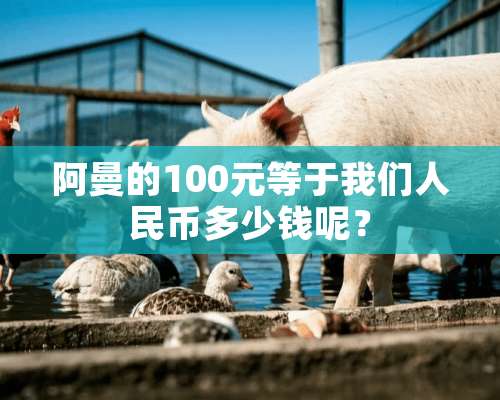 阿曼的100元等于我们人民币多少钱呢？