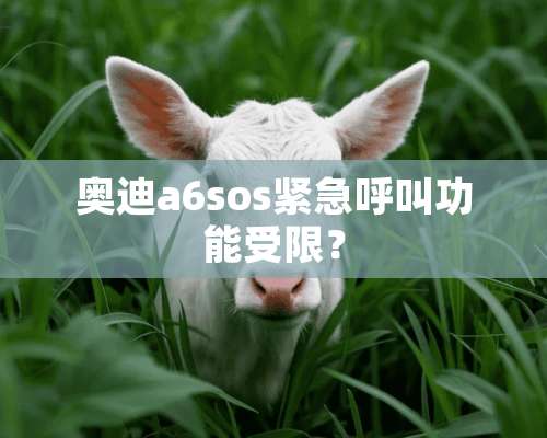 奥迪a6sos紧急呼叫功能受限？