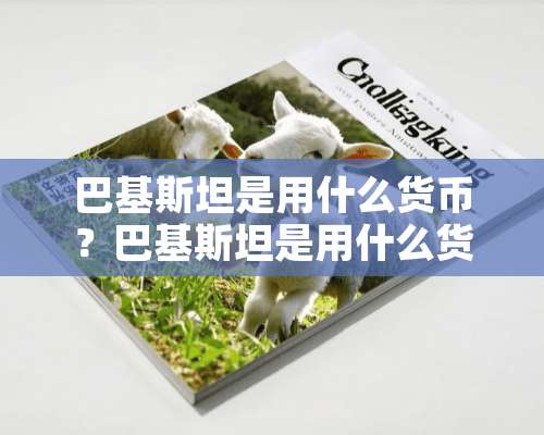 巴基斯坦是用什么货币？巴基斯坦是用什么货币？