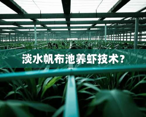 淡水帆布池养虾技术？