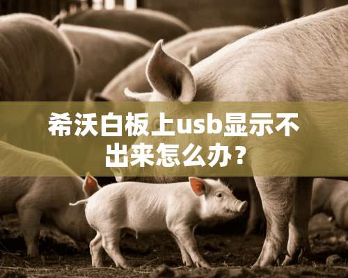 希沃白板上usb显示不出来怎么办？