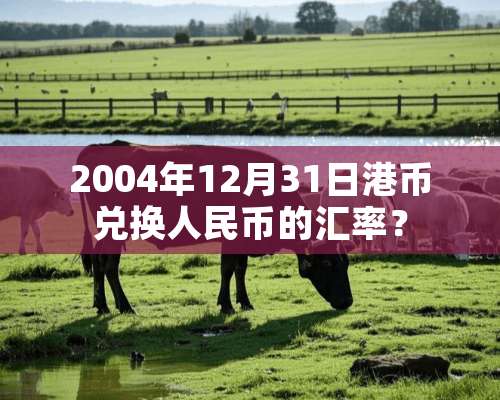 2004年12月31日港币兑换人民币的汇率？