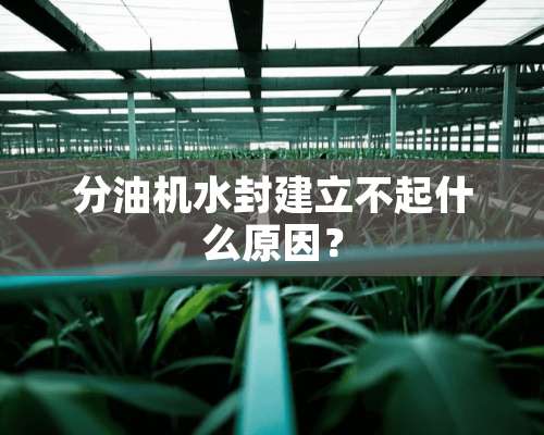 分油机水封建立不起什么原因？