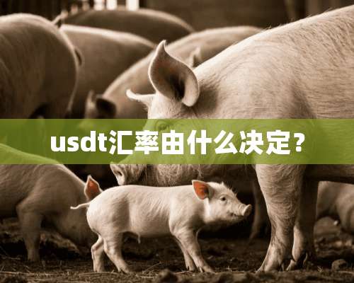 usdt汇率由什么决定？