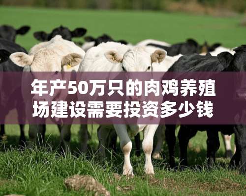 年产50万只的肉鸡养殖场建设需要投资多少钱？