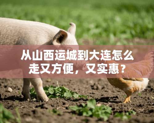 从山西运城到大连怎么走又方便，又实惠？