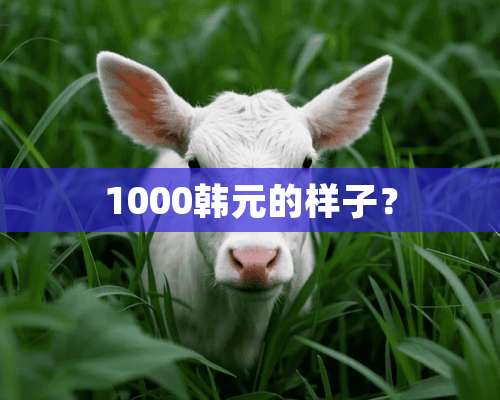 1000韩元的样子？