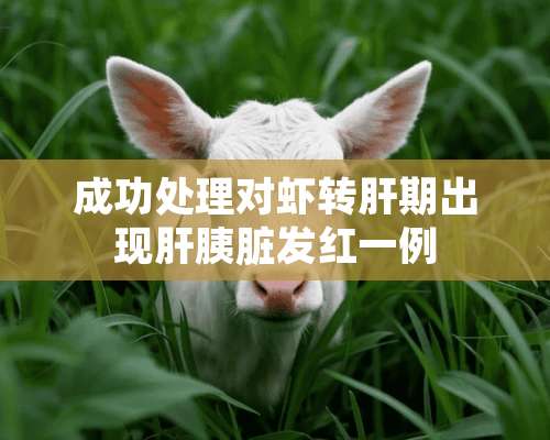 成功处理对虾转肝期出现肝胰脏发红一例