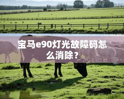 宝马e90灯光故障码怎么消除？