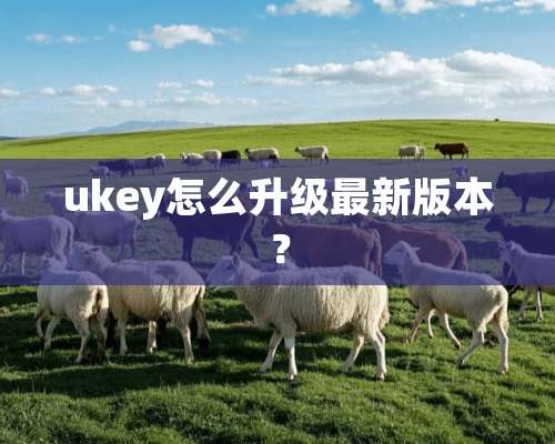 ukey怎么升级最新版本？