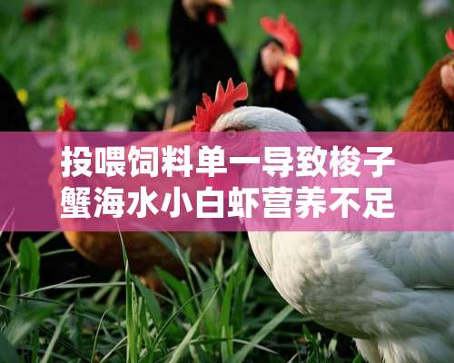 投喂饲料单一导致梭子蟹海水小白虾营养不足的处理方法