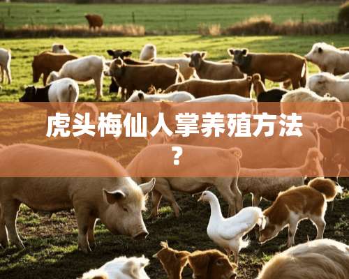 虎头梅仙人掌养殖方法？