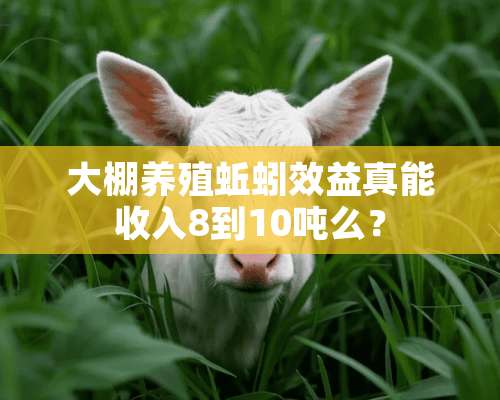 大棚养殖蚯蚓效益真能收入8到10吨么？