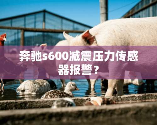 奔驰s600减震压力传感器报警？