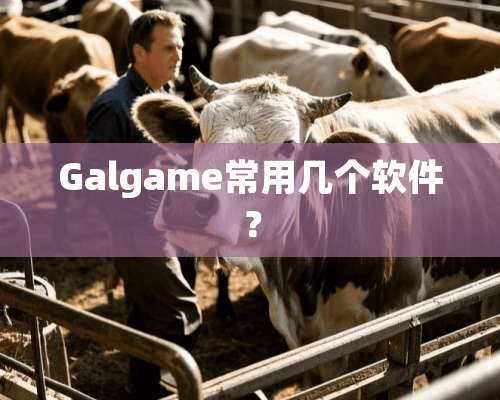 Galgame常用几个软件？