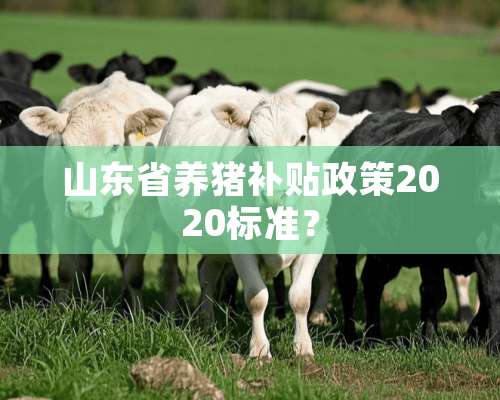 山东省养猪补贴政策2020标准？