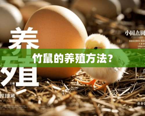 竹鼠的养殖方法？