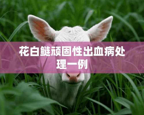 花白鲢顽固性出血病处理一例