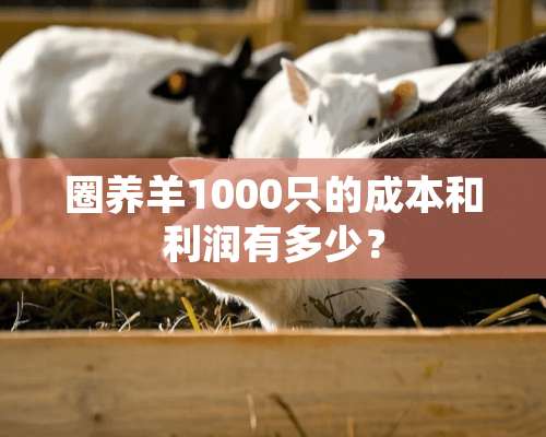 圈养羊1000只的成本和利润有多少？