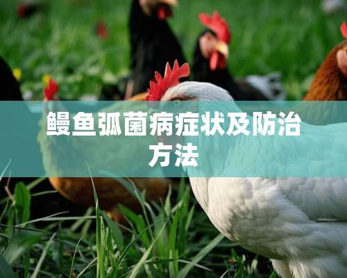 鳗鱼弧菌病症状及防治方法