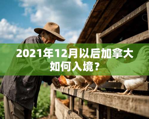 2021年12月以后加拿大如何入境？