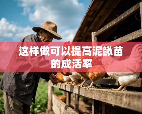 这样做可以提高泥鳅苗的成活率