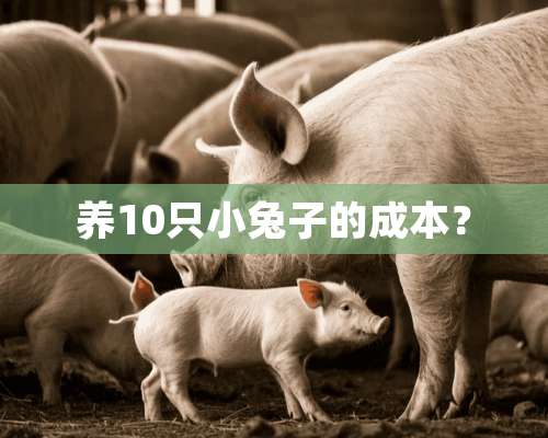 养10只小兔子的成本？